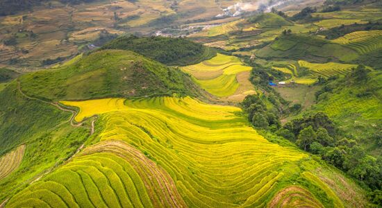 From Sapa to the Mekong: A Journey Through Vietnam - 12 Days